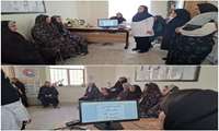  برگزاری کارگاه آموزشی ترویج تغذیه با شیر مادر در حسین آباد