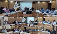 برگزاری کمیته دانشگاهی اجرای برنامه ملی پزشکی خانواده در دانشگاه علوم پزشکی سبزوار