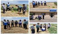 مدیریت بیماری سالک در روستای باشتین