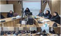  نگاهی متفاوت به درمان ناباروری با طب ایرانی در وبینار معاونت بهداشتی سبزوار