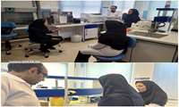  تأکید بر دقت و صحت در بازدید معاونت بهداشتی از آزمایشگاه شبکه داورزن