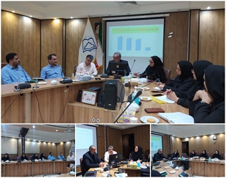  نشست تخصصی کارگروه سقط عمدی معاونت بهداشتی با تمرکز بر بررسی مصوبات و تحلیل پژوهش‌های سلامت